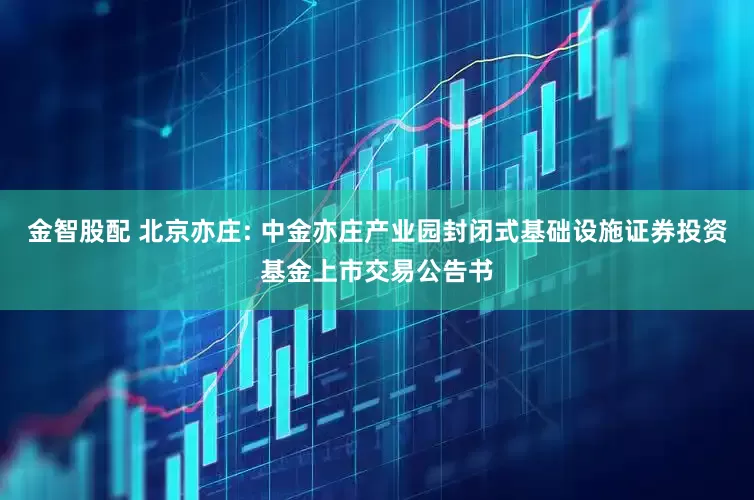 金智股配 北京亦庄: 中金亦庄产业园封闭式基础设施证券投资基金上市交易公告书