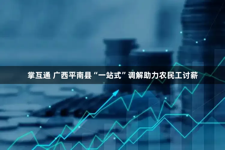 掌互通 广西平南县“一站式”调解助力农民工讨薪