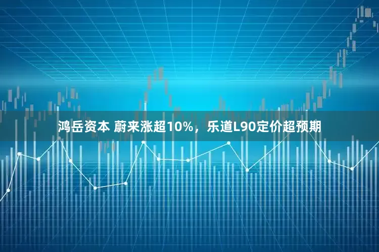 鸿岳资本 蔚来涨超10%，乐道L90定价超预期