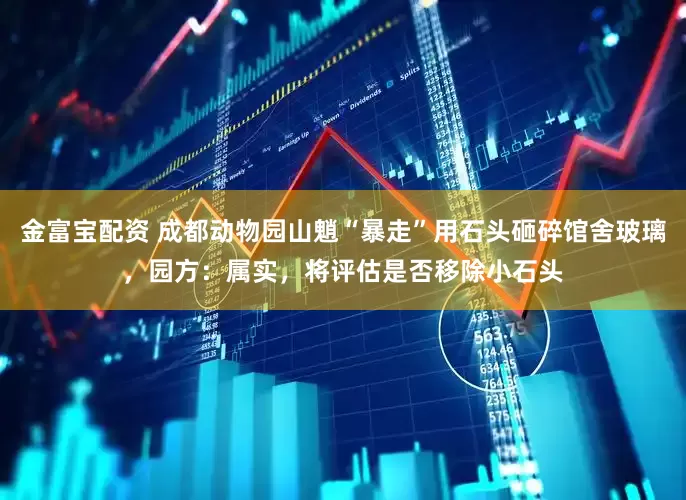 金富宝配资 成都动物园山魈“暴走”用石头砸碎馆舍玻璃，园方：属实，将评估是否移除小石头