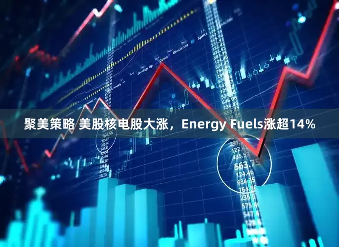 聚美策略 美股核电股大涨，Energy Fuels涨超14%
